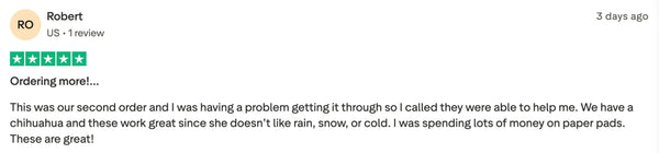 Customer review 12