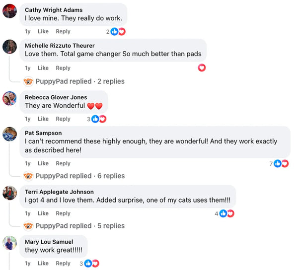 Customer review 11
