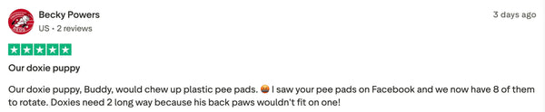 Customer review 9